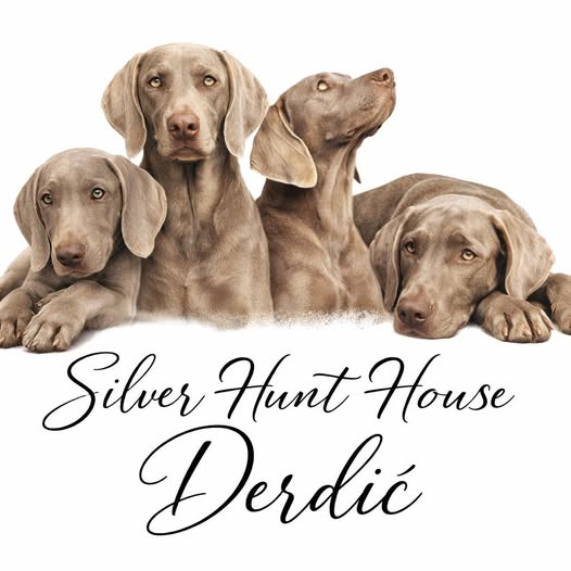 Silver Hunt House Derdić